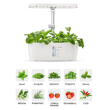 Hydroponics - Indoor Smart Plant System
