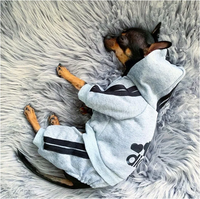 Pet Clothing - Fashionable Adidog (Grey)