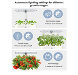 Hydroponics - Indoor Smart Plant System