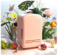 Luxury Cosmetic Mini Bar Fridge (12l)