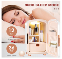 Luxury Cosmetic Mini Bar Fridge (12l)