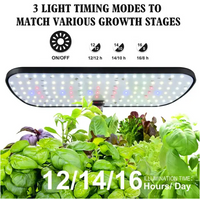 Hydroponics - Indoor Smart Plant System