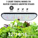 Hydroponics - Indoor Smart Plant System