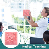 Suture Practice Pads for Medical Students & Professionals