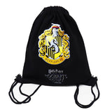 Harry Potter Canvas Bag