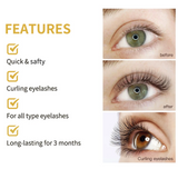 Professional Lash Lift & Eyebrow Lamination & Tint Kit (IBCCCNDC)