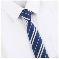 Harry Potter School of Wizardry Tie