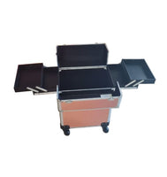 Professional Makeup Trolley Case