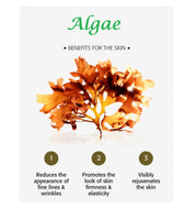 SpongillaTech® Algae Peel (Professional Home Peel Bulk Package)