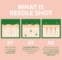 What is Reedle Shot