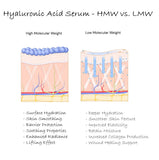 High Molecular Weight vs. Low Molecular Weight Hyaluronic Acid Serum. 