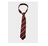 Harry Potter School of Wizardry Tie