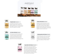 BB Booster Kit Ampoule Ingredients