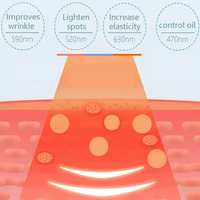 Professional Salon - PDT LED Light Device