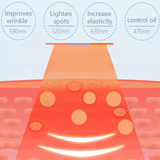 Professional Salon - PDT LED Light Device